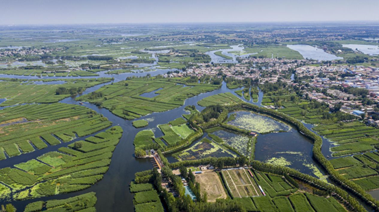 This image has an empty alt attribute; its file name is image-18.png